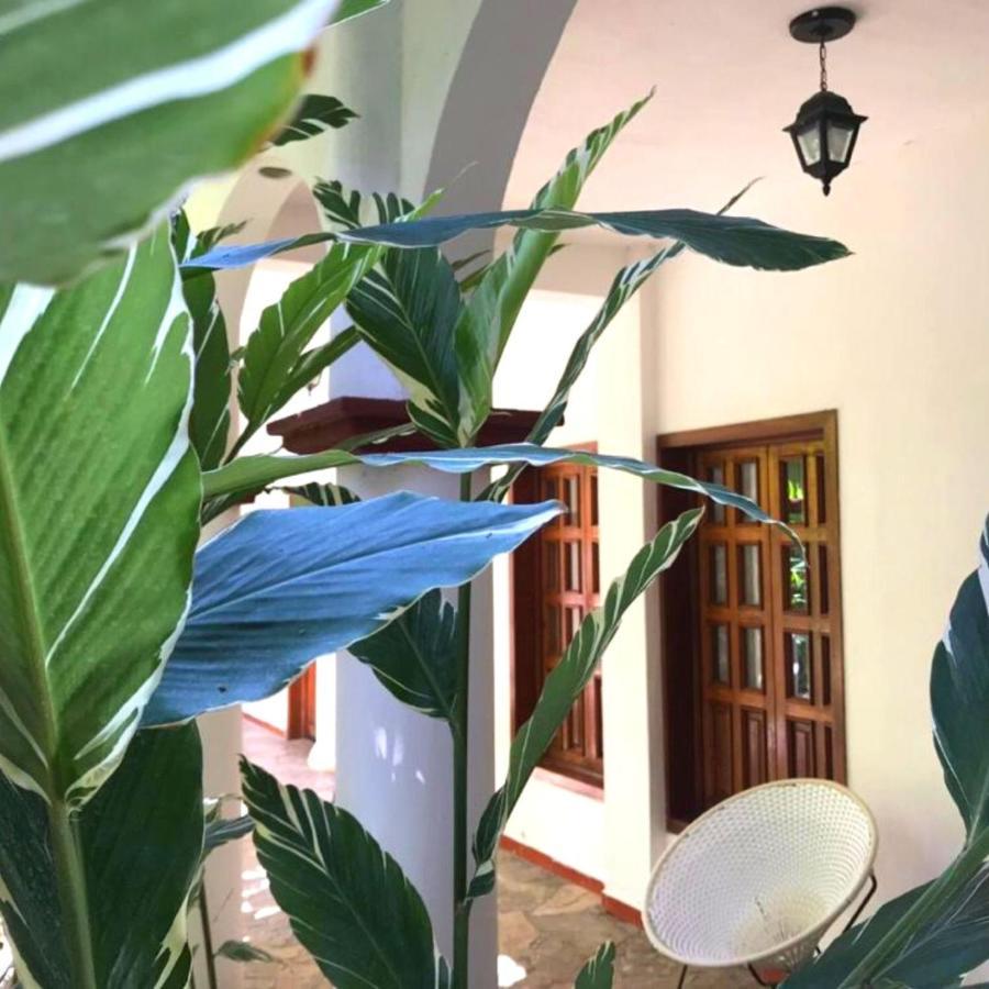 Hotel La Ceiba Чьяпа-де-Корсо Экстерьер фото